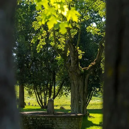Tenuta Di Santa Lucia סוריאנו נל צ'ימינו