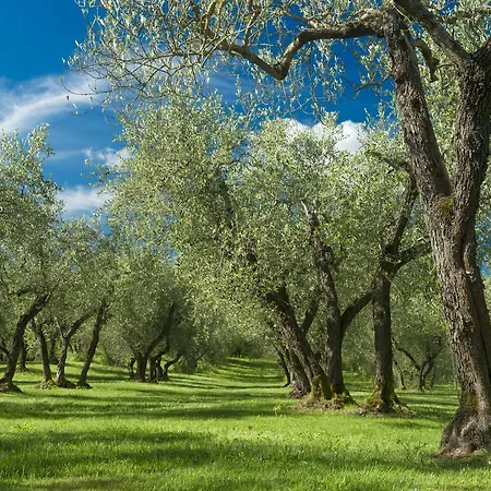 Tenuta Di Santa Lucia בית חווה סוריאנו נל צ'ימינו